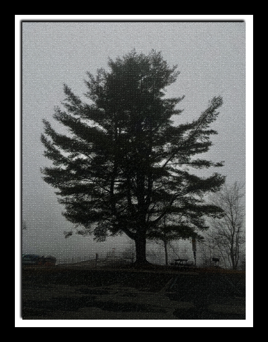 20x16 Hahnemuhle William Turner Paper $1,500.00